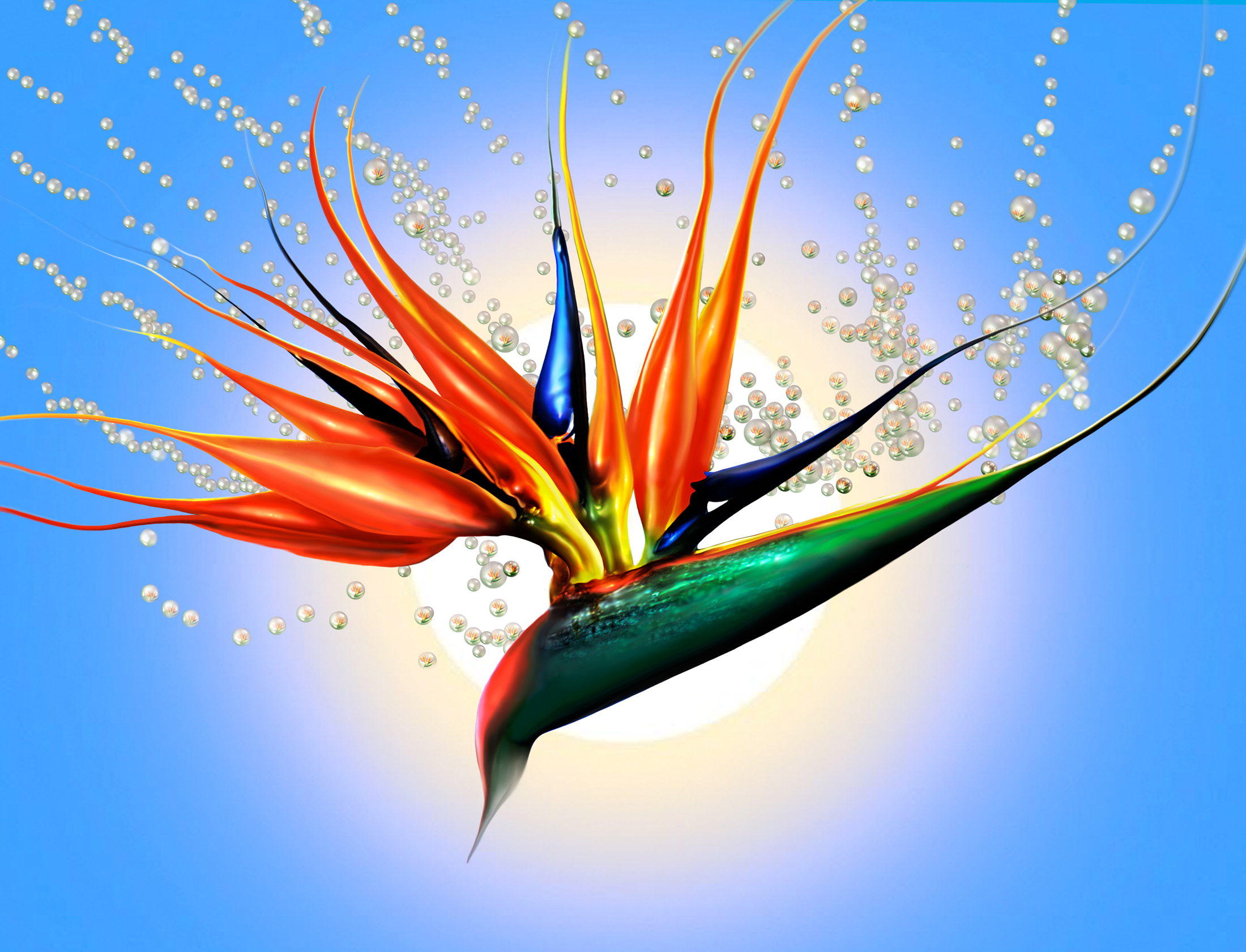 BIRD OF PARADISE