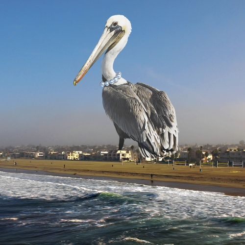 Pelican Perlas Desgastan