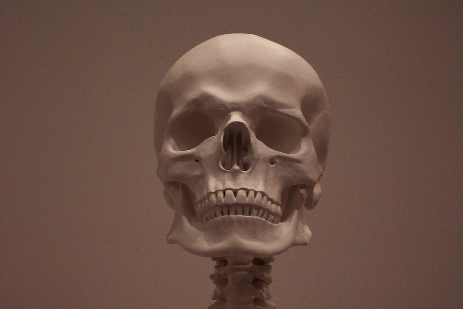 A HEAD OF OUR TIMES